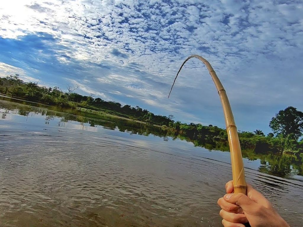 Guia de varas de pesca completo para você escolher a melhor!