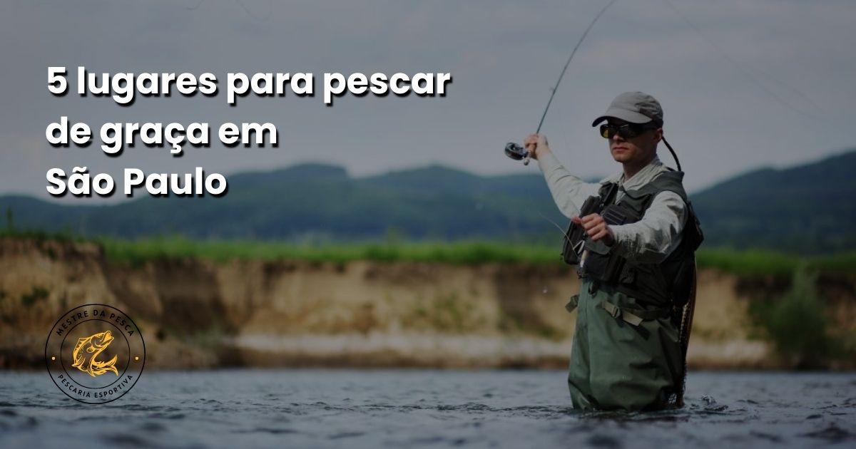 5 lugares para pescar de graça em São Paulo
